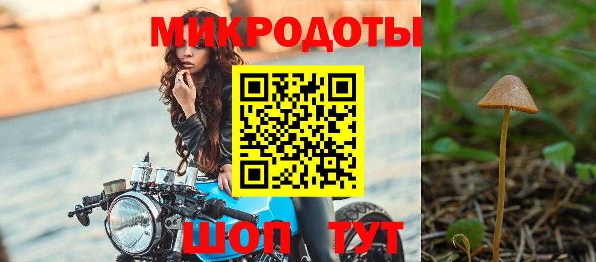 Магнитогорск  Псилоцибиновые грибы Psilocybine cubensis  Вход с VPN 